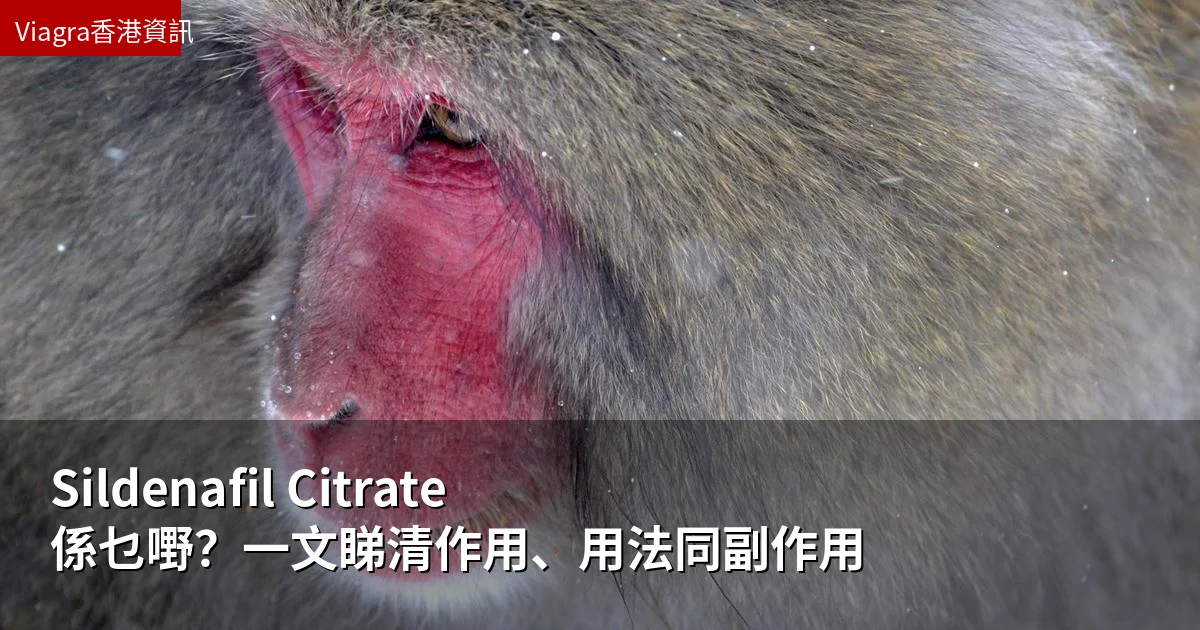 Sildenafil Citrate 係乜嘢?一文睇清作用、用法同副作用