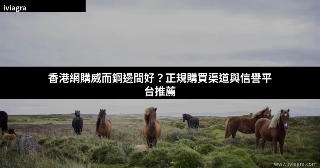 香港網購威而鋼邊間好？正規購買渠道與信譽平台推薦