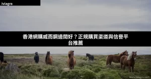 香港網購威而鋼邊間好？正規購買渠道與信譽平台推薦