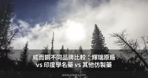 威而鋼不同品牌比較：輝瑞原廠 vs 印度學名藥 vs 其他仿製藥
